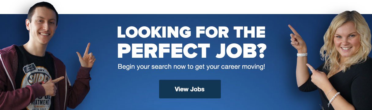 Looking for the perfect job?